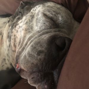 Meet your Posher, Brian